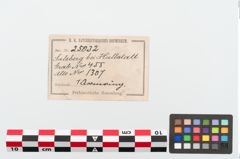 Etiketten zu Bronzemelonenarmreif (NHMW-PRAE-025032)